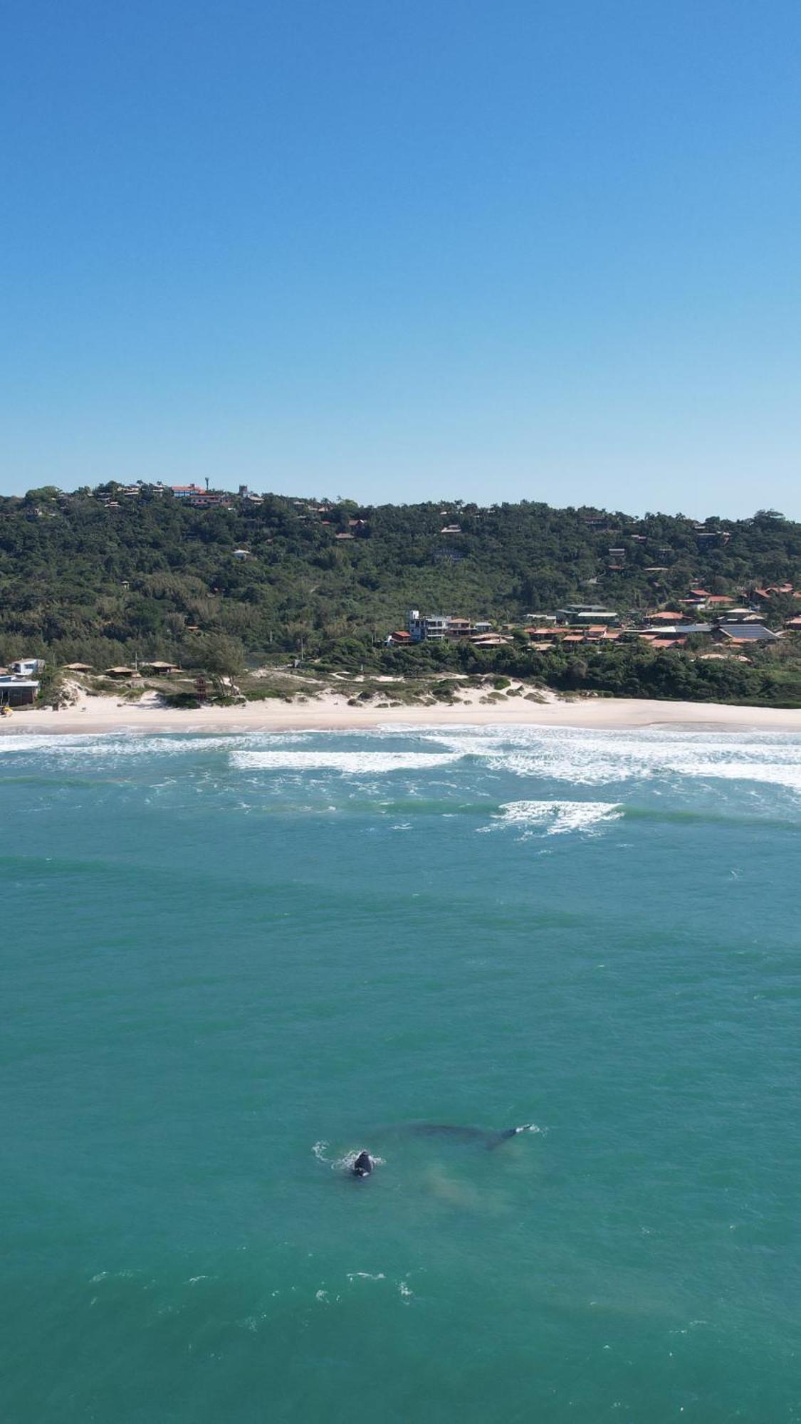Casa Oceano Praia Do Rosa, Apartamentos Pe Na Areia, Praia Do Rosa Dış mekan fotoğraf